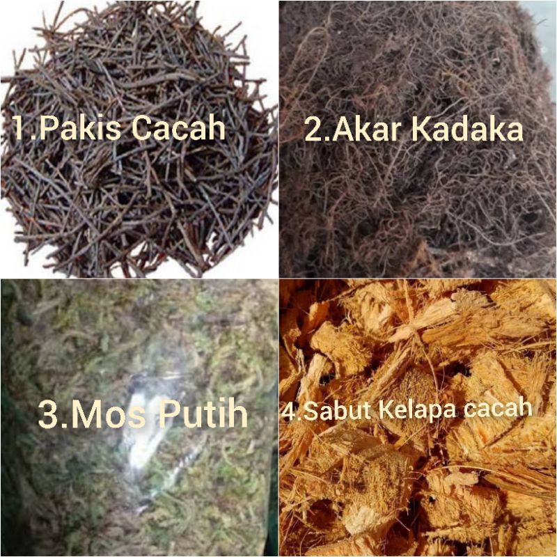 Jual Jual Paket Media Tanam Anggrek Mos Putih Sabut Kelapa Cacah