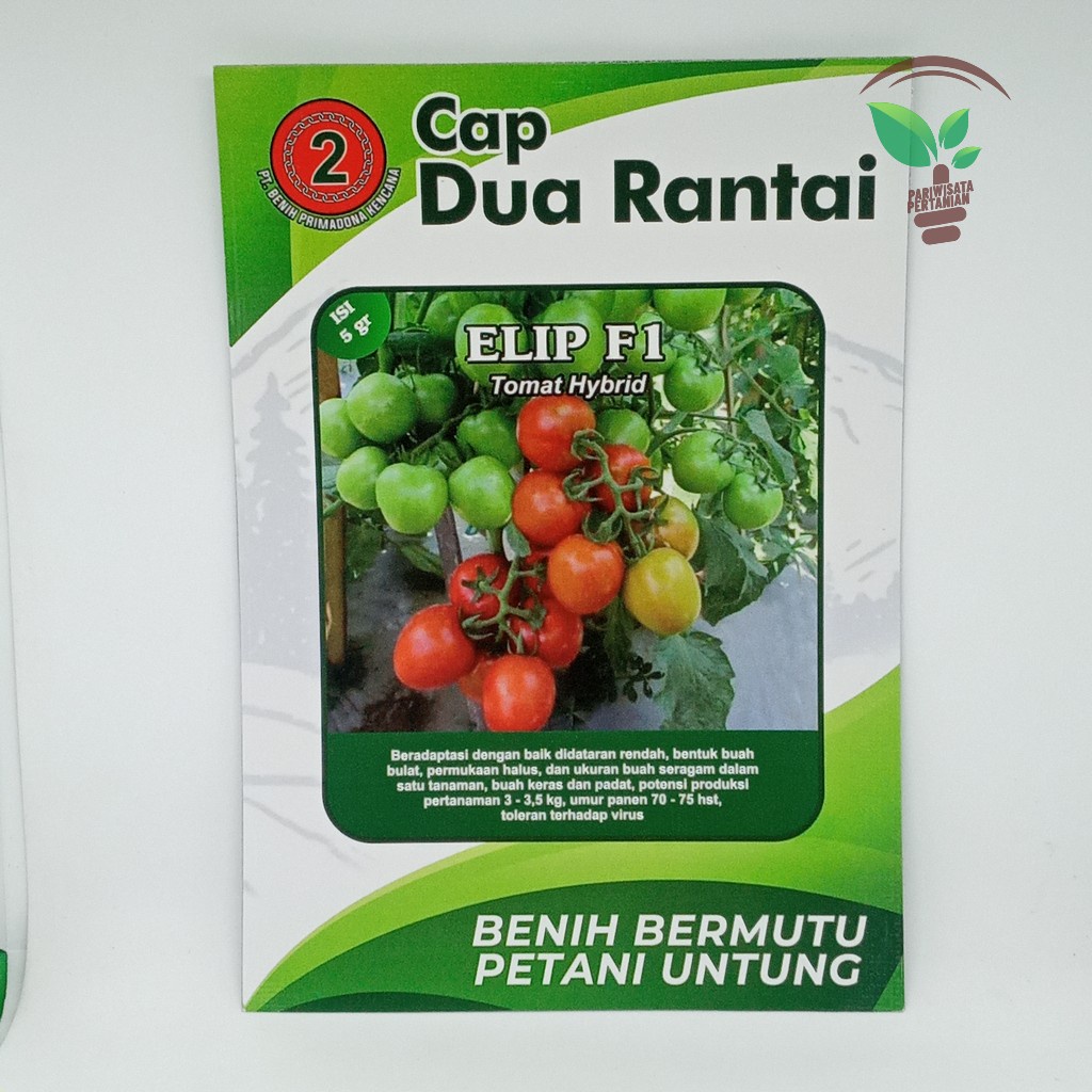 Jual Benih Tomat Hibrida Elip F1 Isi 5 Gr Bibit Produk Cap Dua Rantai