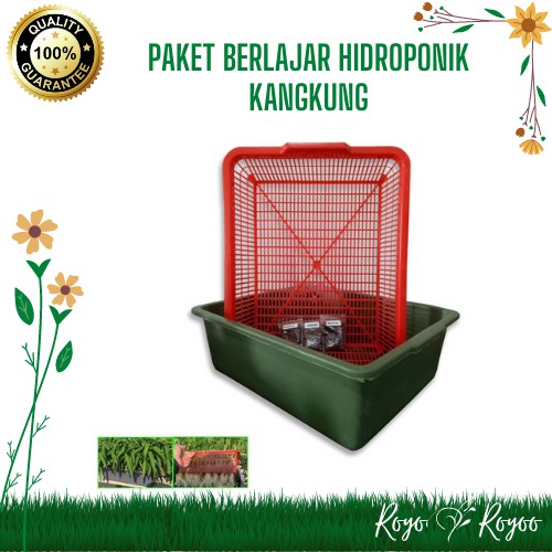 Jual Paket Belajar Hidroponik Tanaman Kangkung Hydroponic Starter Kit