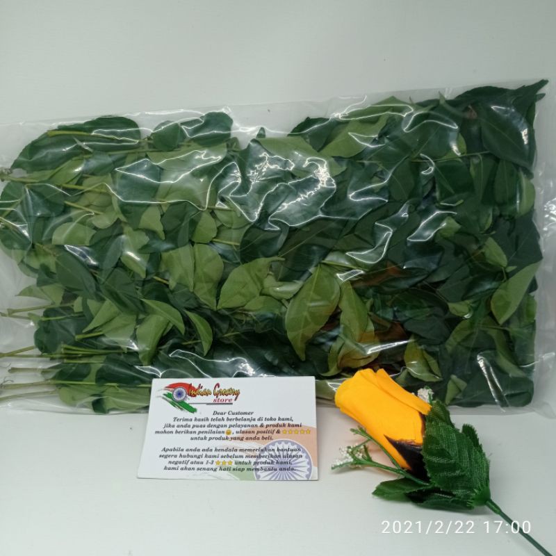 Jual CURRY LEAF DAUN KARI SALAM KOJA 100 GR Shopee Indonesia