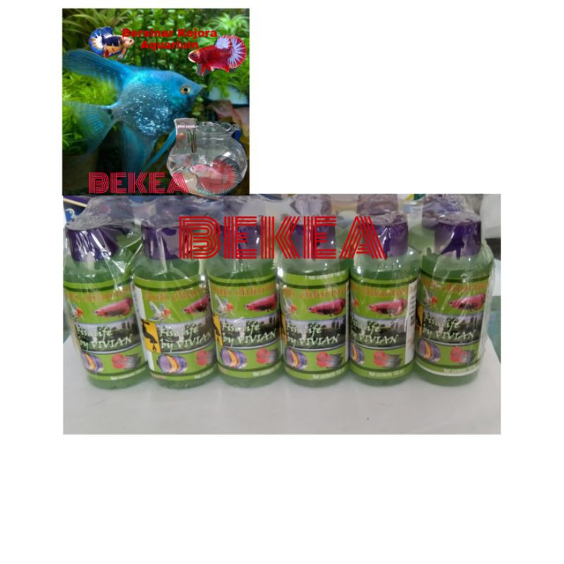 Jual Anti Chlorine Cair Penetral Air Aquarium Kolam Ikan Ml