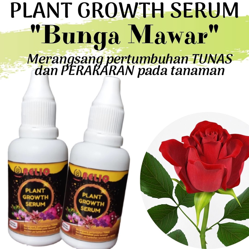 Jual Pupuk Bunga Mawar Agar Cepat Berbunga Plant Growth Serum Organik