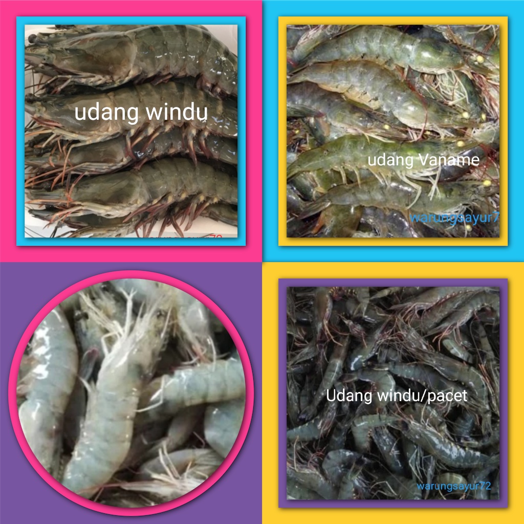 Jual Udang Windu Udang Vaname Gram Kg Shopee Indonesia