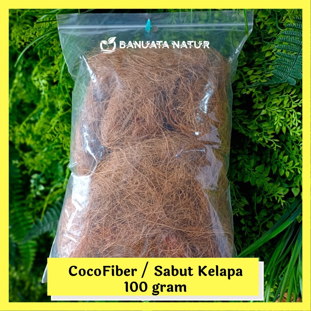 Jual Coco Fiber Serat Serabut Sabut Kelapa Media Tanam Anggrek 100 Gr