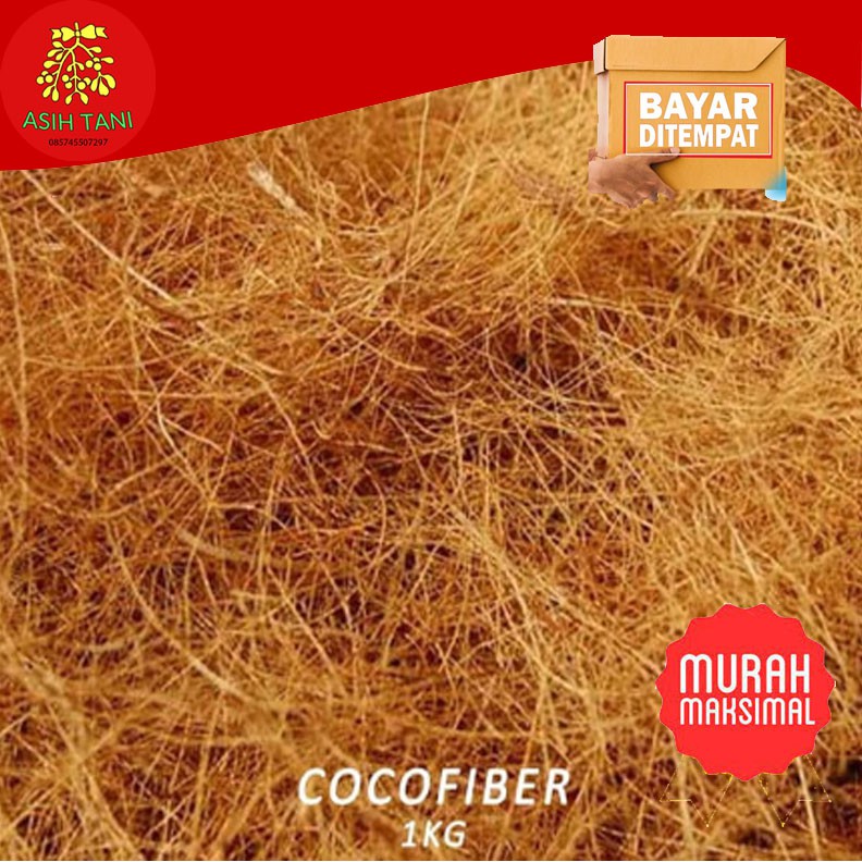 Jual Media Tanam Cocofiber Coco Fiber Serabut Kelapa Ijuk Kelapa Kg