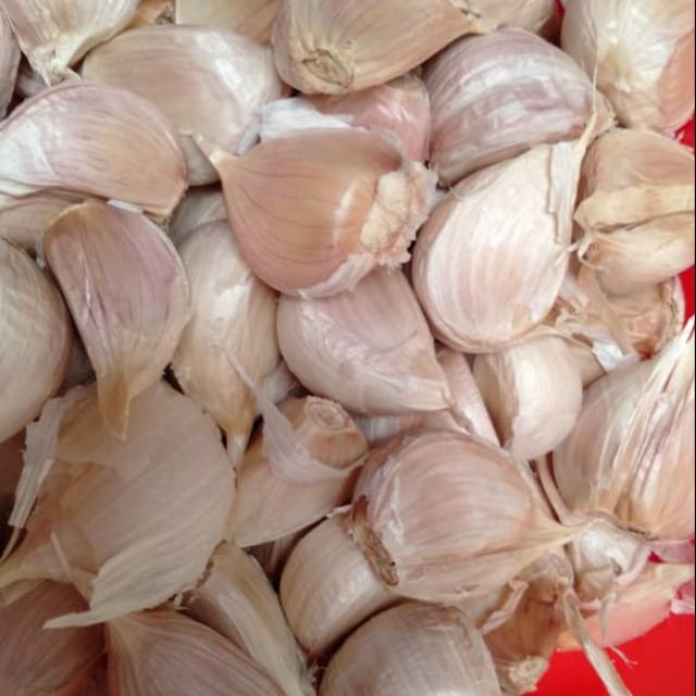 Jual Bawang Putih Kating 1kg Shopee Indonesia