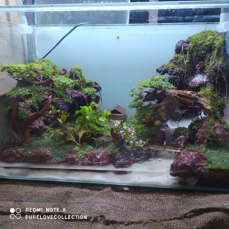 Jual Aquarium Aquascape Fullset 40cm 30cm Murah Akuarium Aquascape