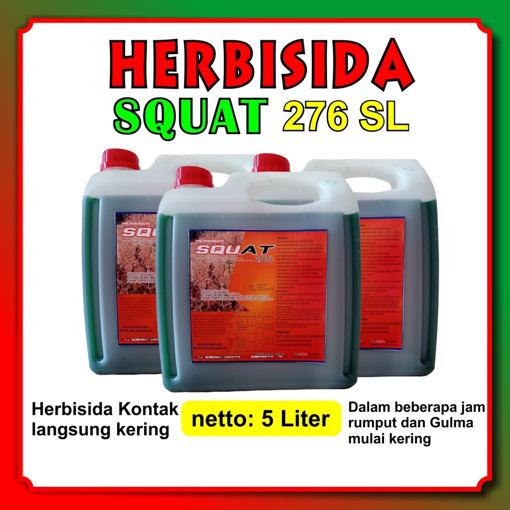 Jual Herbisida Kontak Langsung Kering SQUAT 5000ml Paraquat Di Klorida