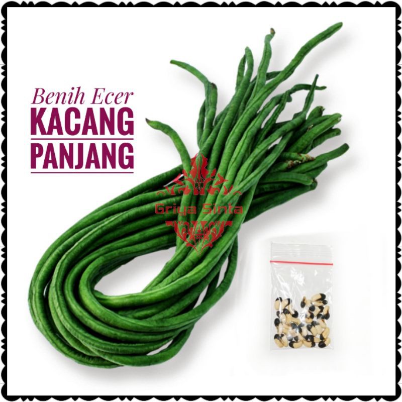 Jual Benih Kacang Panjang Repack Ecer Shopee Indonesia