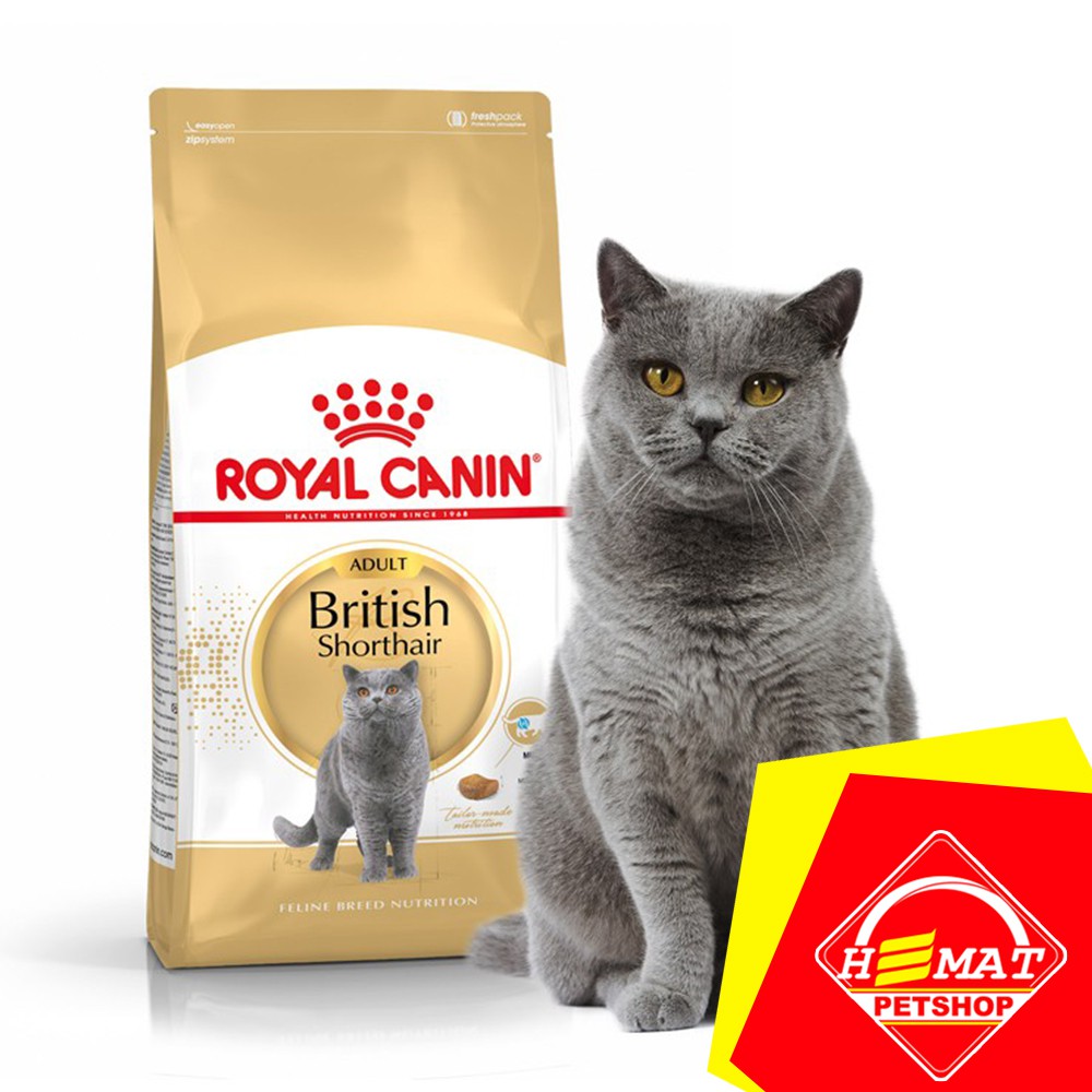 Jual Royal Canin British Shorthair Adult 4Kg Makanan Kucing Rc Short