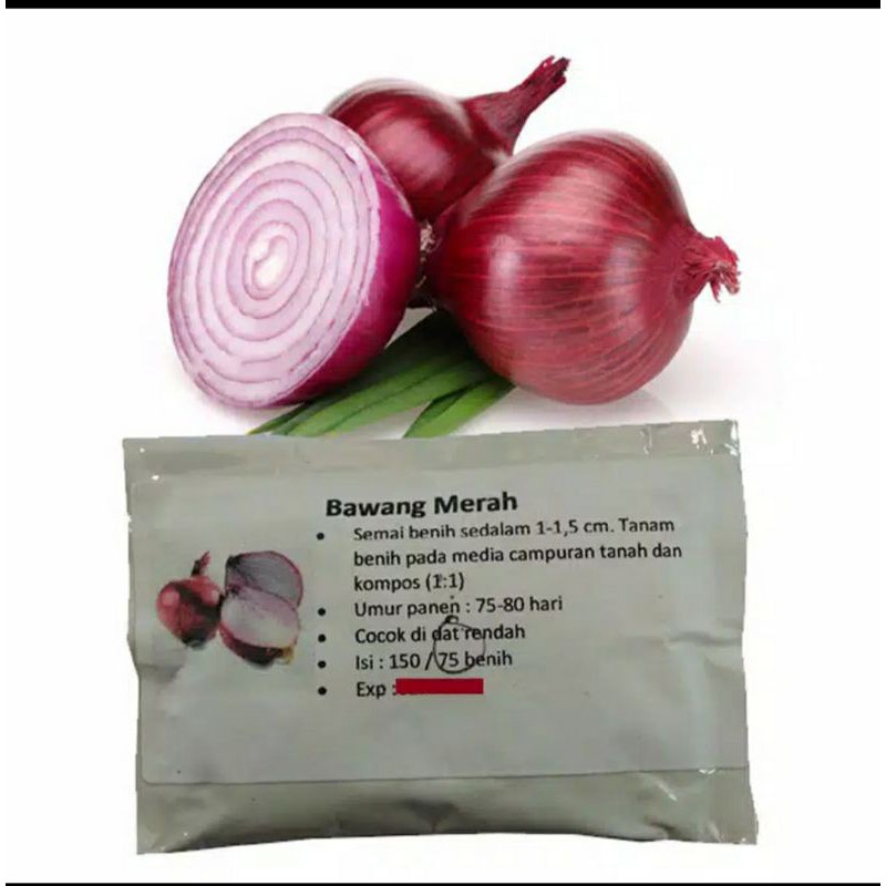 Jual Benih Bawang Merah Benih Shopee Indonesia