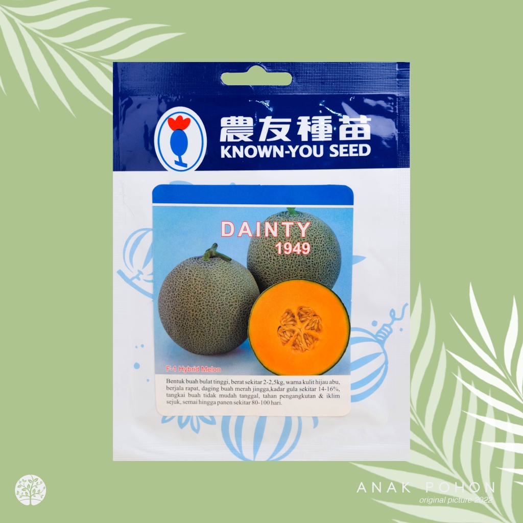 Jual 1 PACK 10 GRAM Benih Melon Dainty 1949 Hibrida F1 Oranye Seeds