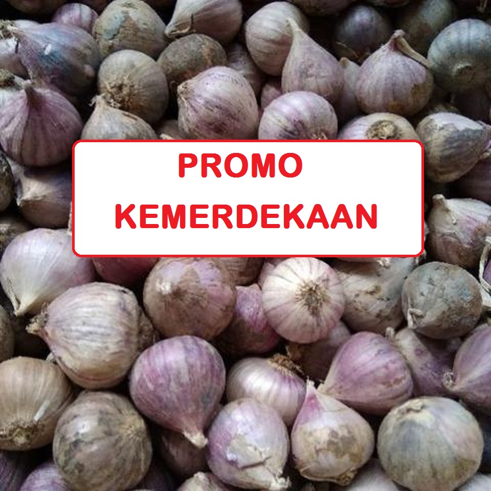 Jual Bawang Putih Tunggal Lanang 1Kg Shopee Indonesia