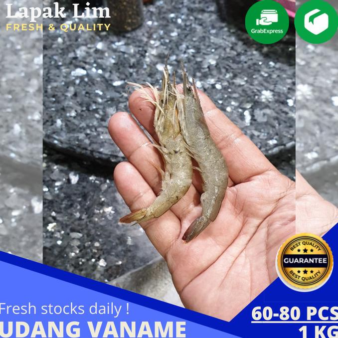 Jual Udang Vaname Segar Udang Panami Udang Putih Fresh Kg