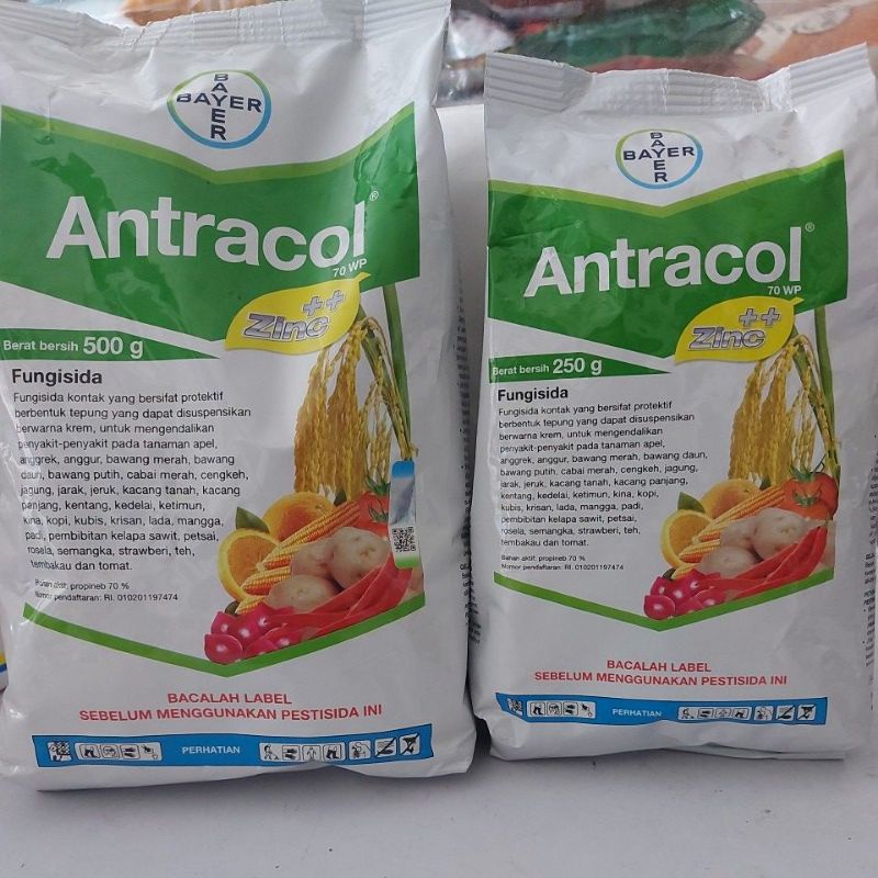 Jual Fungisida Bayer Antracol Wp Ba Propineb Shopee Indonesia