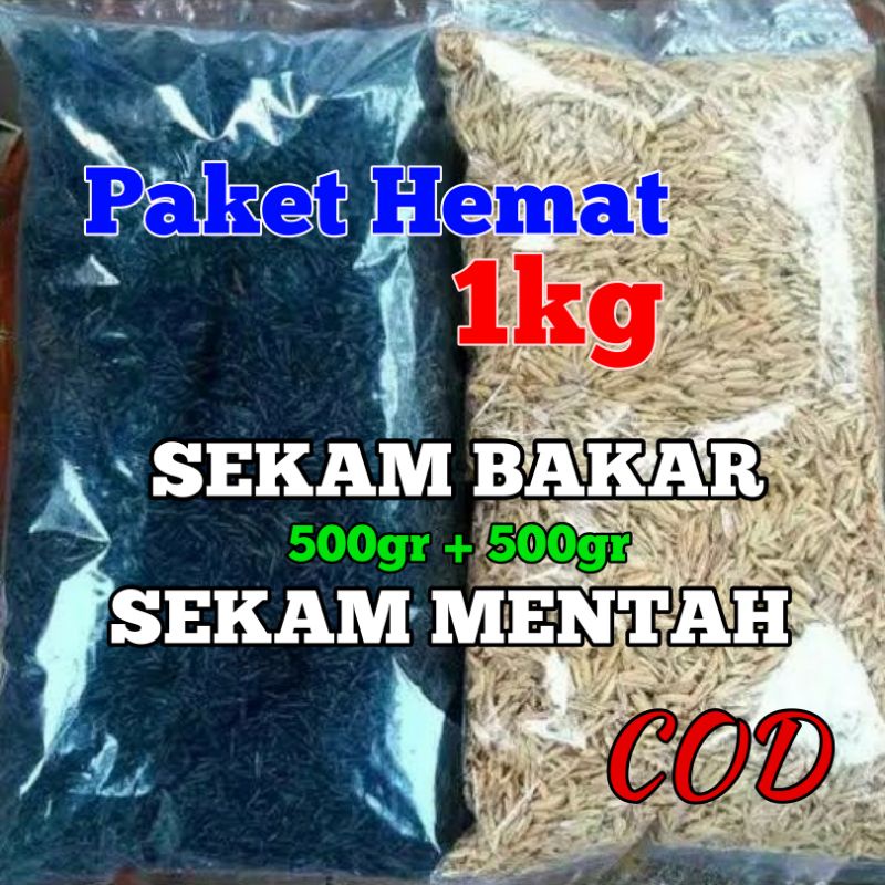 Jual MEDIA TANAM SEKAM PADI MENTAH SEKAM BAKAR ARANG SEKAM 500gr 500gr