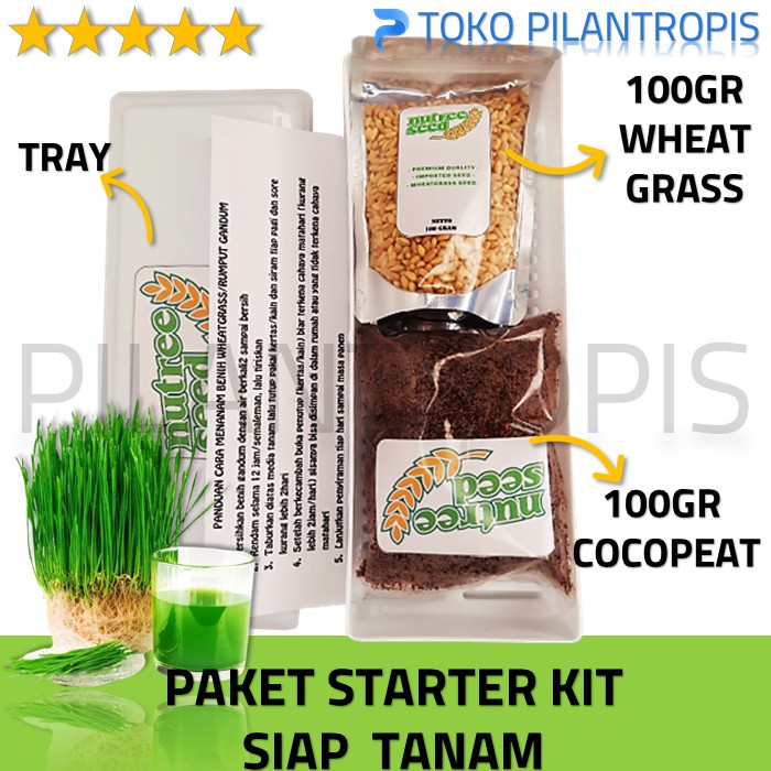 Jual Paket Lengkap Starter Kit Wheatgrass Microgreen Rumput Gandum