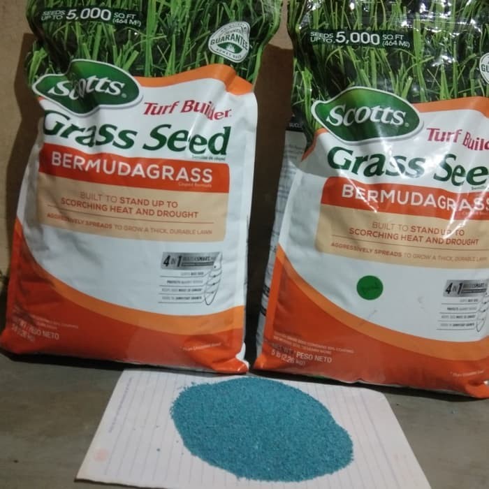 Jual Benih Bibit Biji Rumput Bermuda Grass 1kg Bermuda Grass Seed