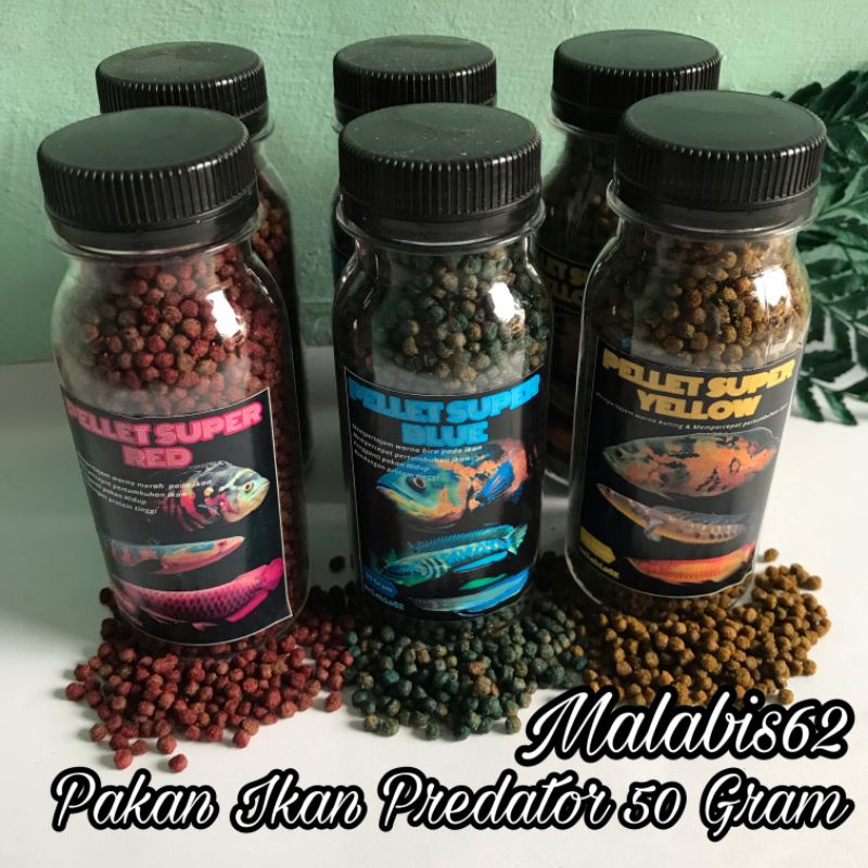 Jual Pellet Super Red Blue Yellow Pakan Channa Oscar Louhan Arwana