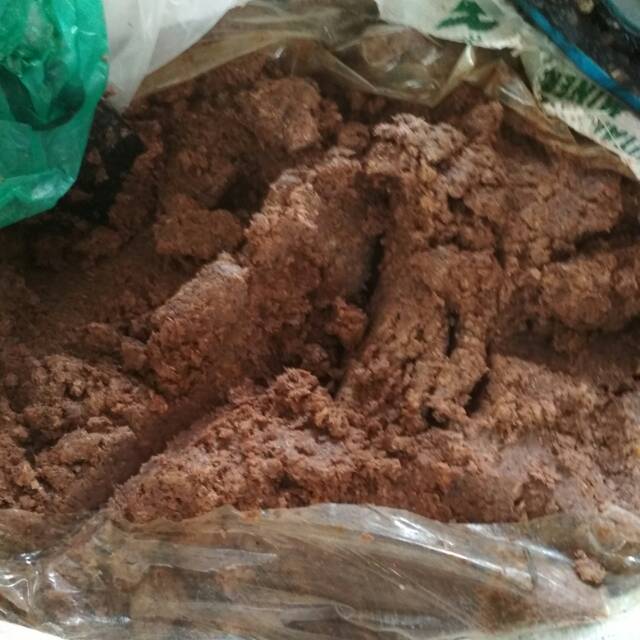 Jual Terasi Udang Asli Khas Aceh Langsa 1 Kg Shopee Indonesia