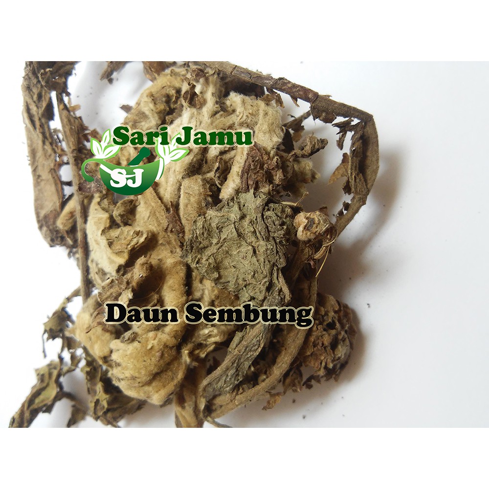 Jual Jamu Herbal Tradisional Daun Sembung 250 Gr Shopee Indonesia