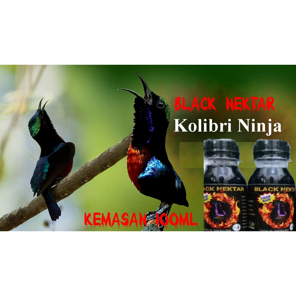 Jual Black Nektar Ml Pakan Harian Dan Lomba Untuk Kolibri Cucak Ijo