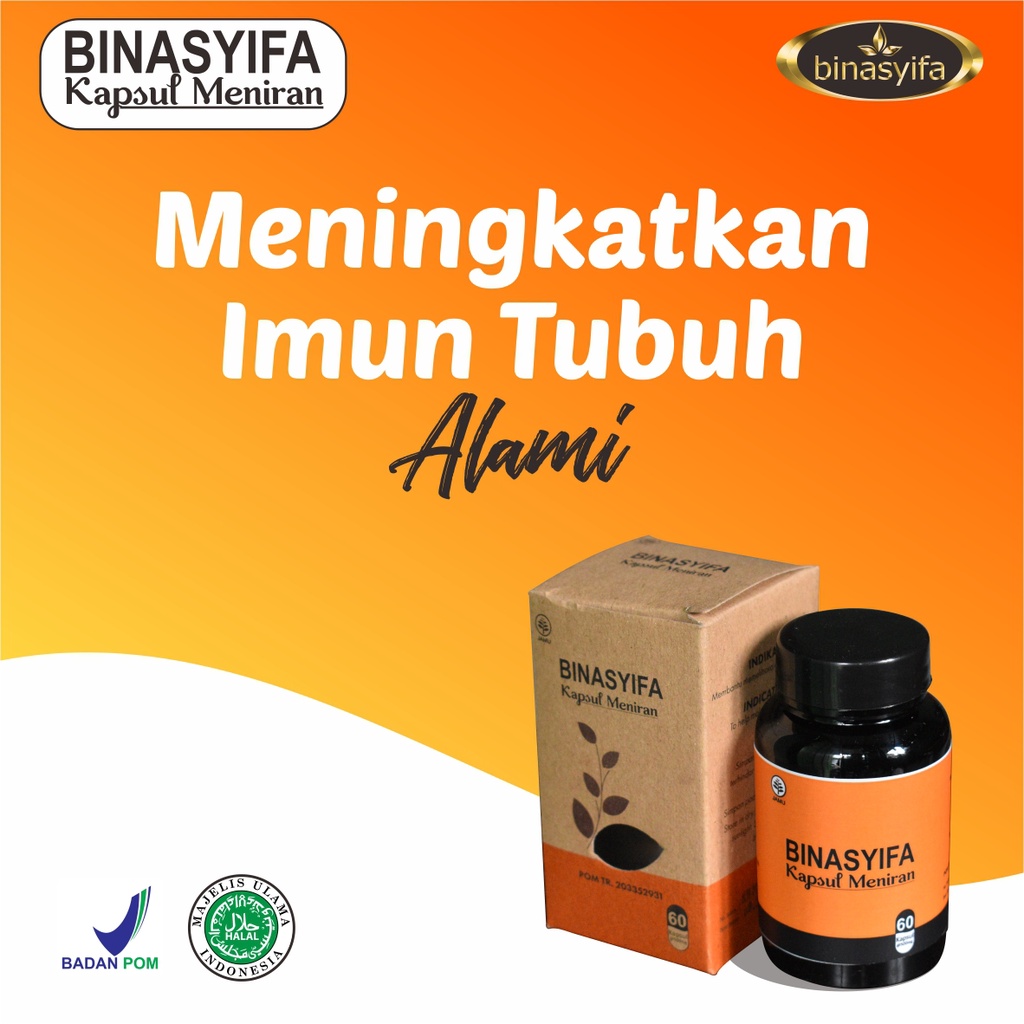 Jual Kapsul Daun Meniran Hijau Ekstrak Meniran Asli Original Bpom Imun