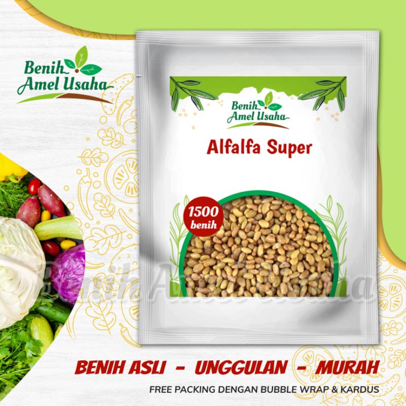 Jual Benih Pakan Ternak Alfalfa Super Isi Benih Benih Bibit