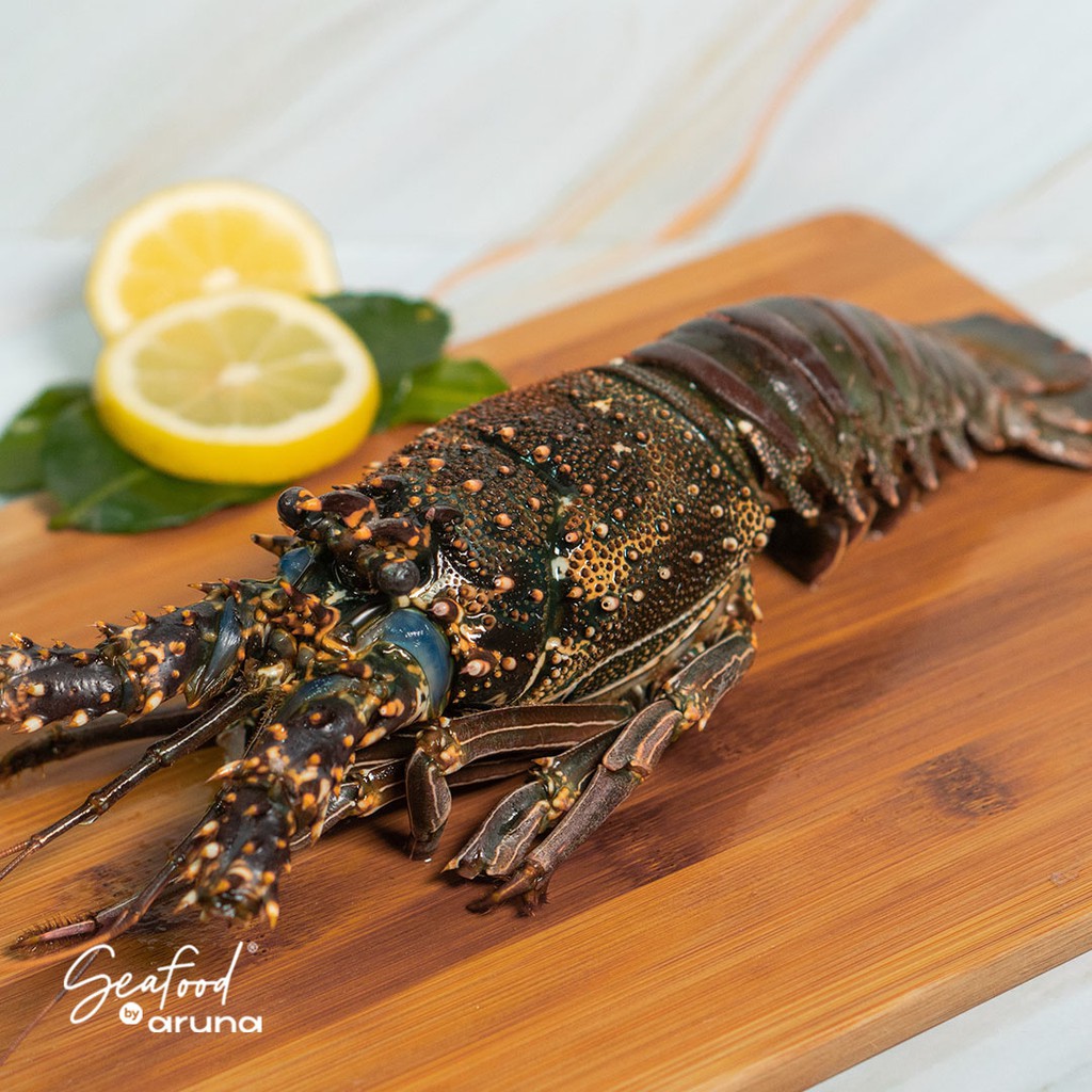 Jual Lobster Laut Frozen Gr Seafood By Aruna Shopee Indonesia