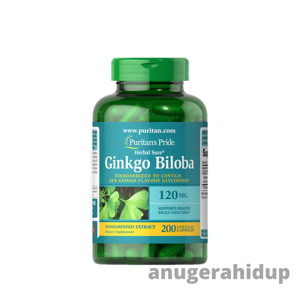 Jual Puritan Pride Ginkgo Biloba Standardized Extract 100 200