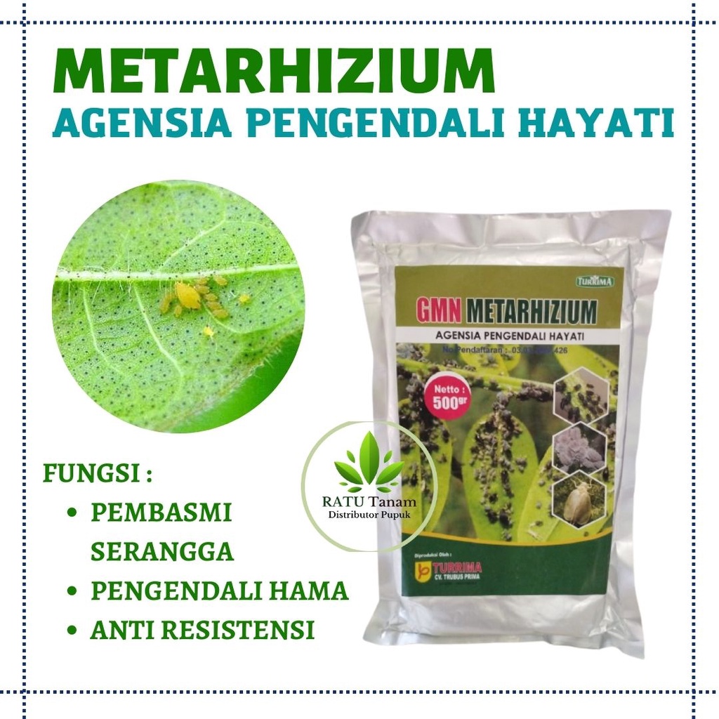 Jual Metarhizium Anisopliae Insecticide Metarizium Pupuk Organik Cegah