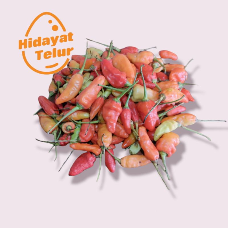 Jual Cabe Cabai RAWIT MERAH Segar Kg Shopee Indonesia