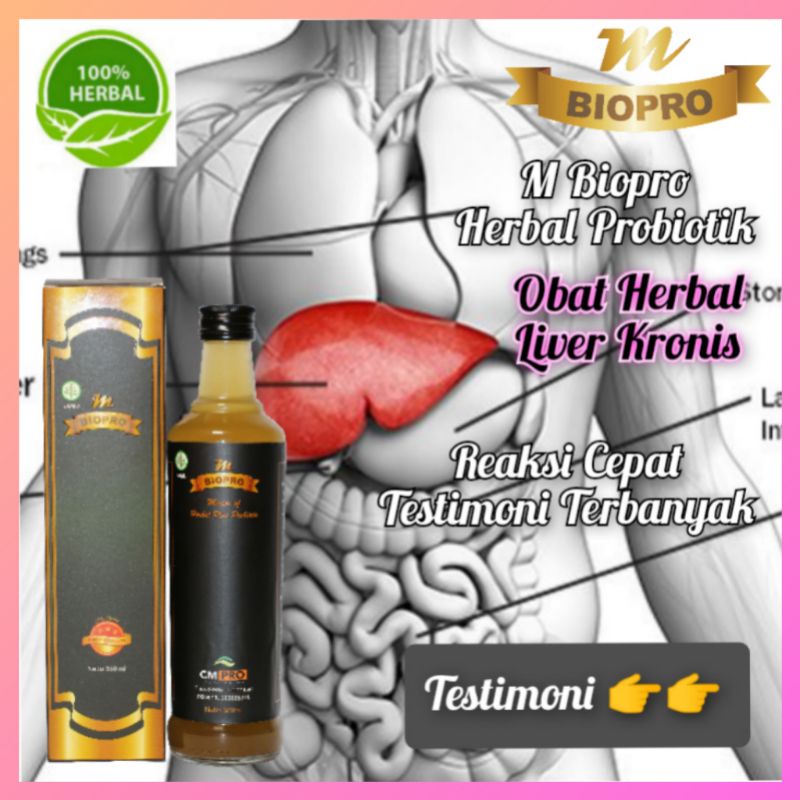 Jual Obat Liver Mbiopro Isi Ml Herbal Alami Obat Hepatitis B Reaksi