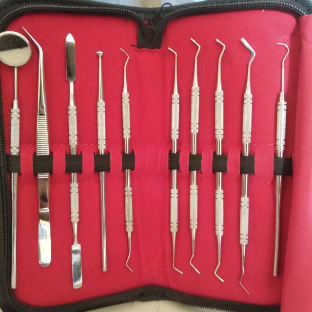 Jual Dental Kit Instrument Isi 10 Pieces Compact Diagnostic Instrument