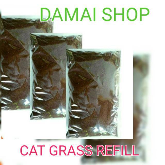 Jual Media Tanam Cat Grass Refill Ukuran Pot Paket Cat Grass Lengkap