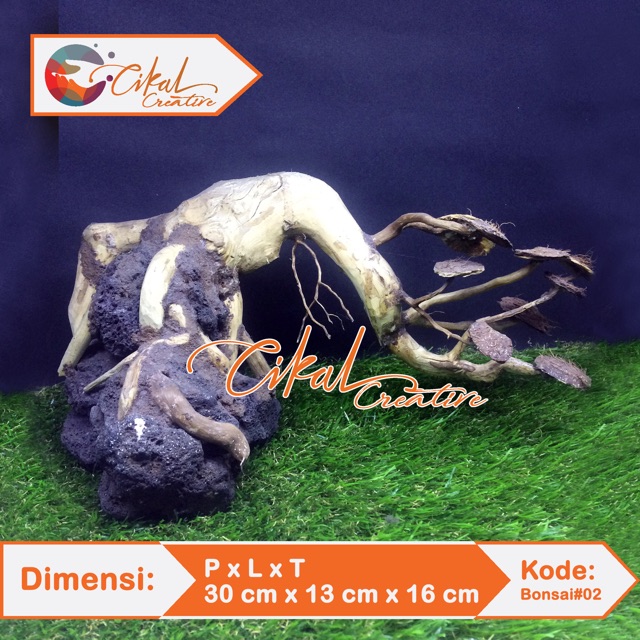 Jual Bonsai Aquascape Hardscape Aquascape Aquascape Akar Senggani