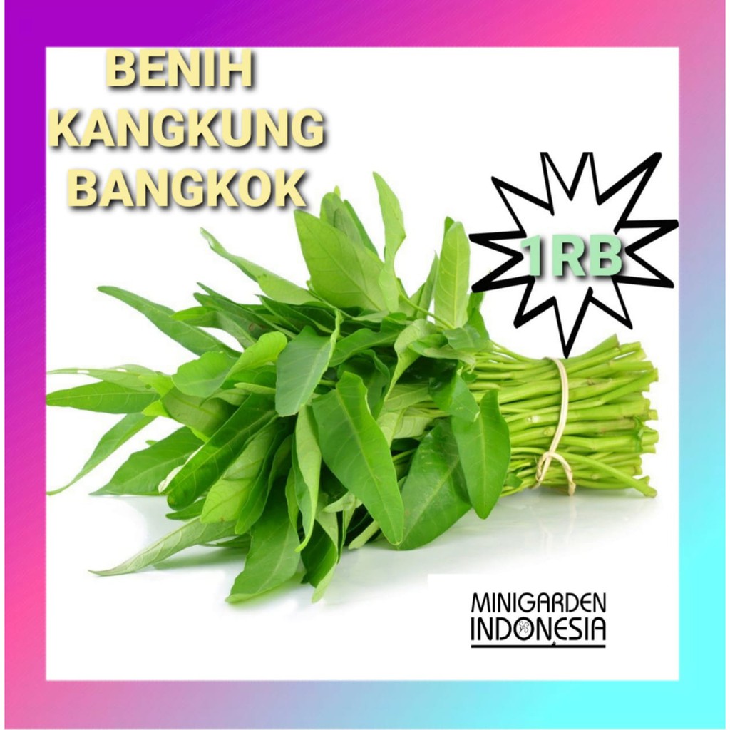 Jual Checkout Rp 1000 Benih Kangkung Bangkok LP 1 Repack Bibit