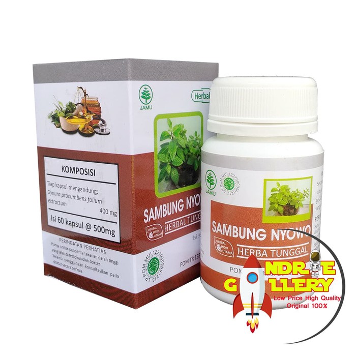 Jual Kapsul Herbal HIU Sambung Nyowo Original Shopee Indonesia