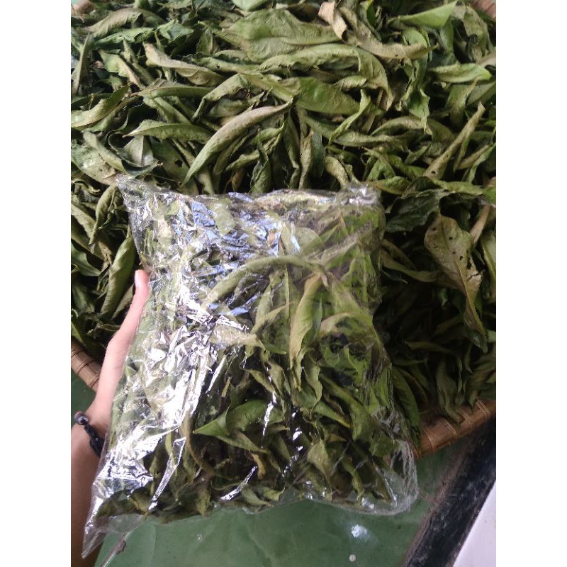 Jual Daun Mahkota Dewa Gram Utuh Kering Herbal Phaleria