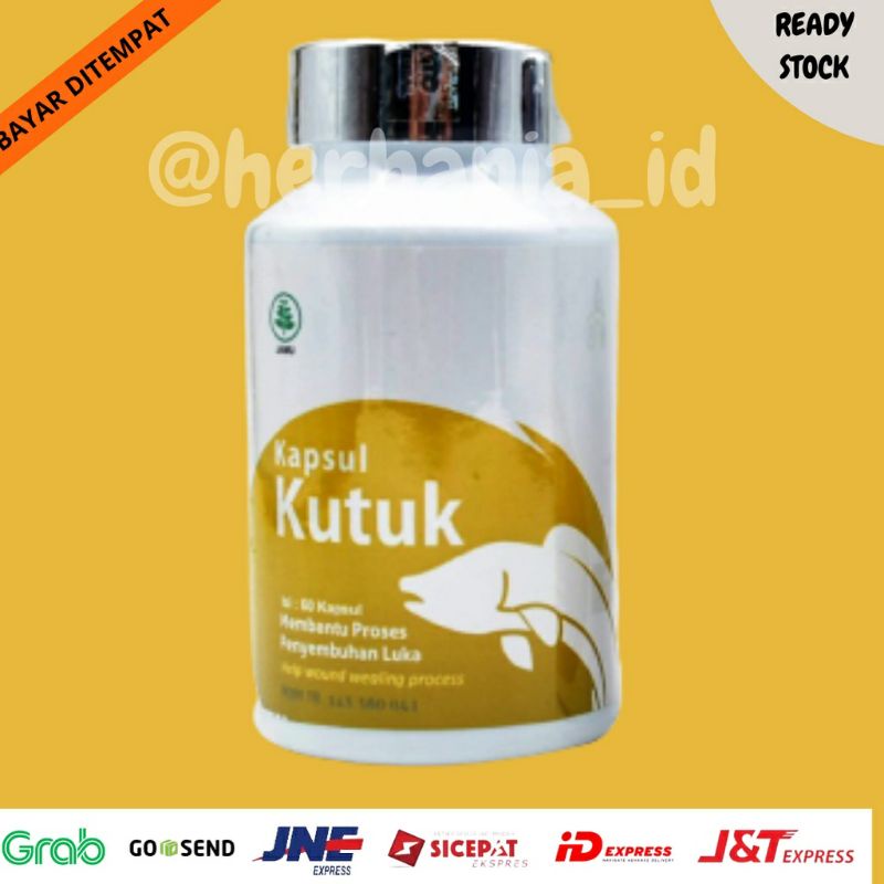 Jual Kapsul Kutuk Original Ekstrak Albumin Ikan Gabus Obat Pasca