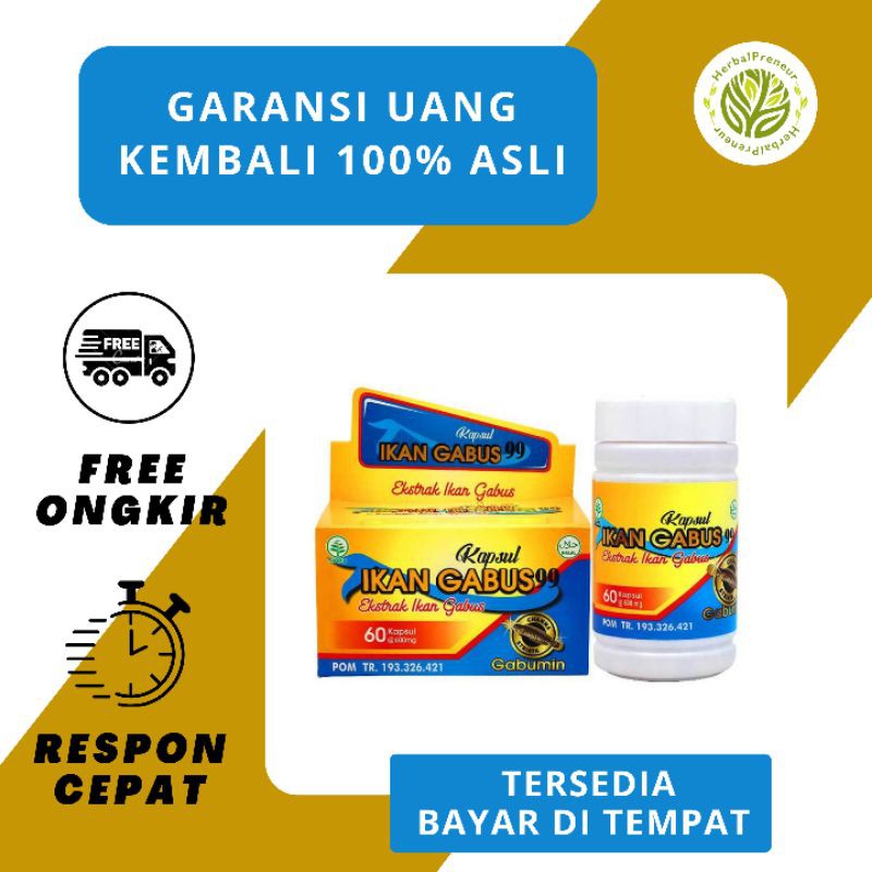 Jual Kapsul Kutuk Premium Original Ikan Gabus Bekas Operasi Dan Infeksi