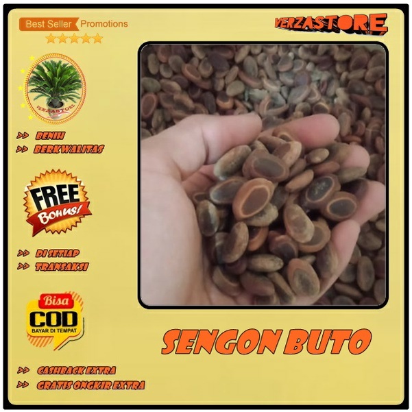 Jual Biji Benih Tanam Pohon Sengon Buto Biji Shopee Indonesia