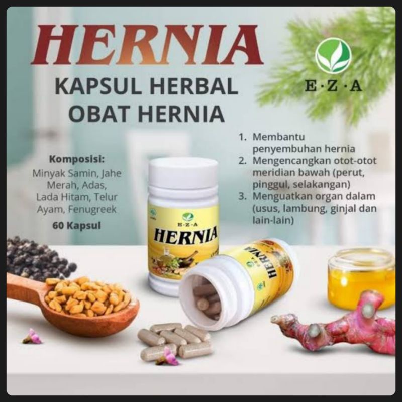 Jual HERNIA EZA OBAT HERBAL HERNIA 60 KAPSUL Shopee Indonesia