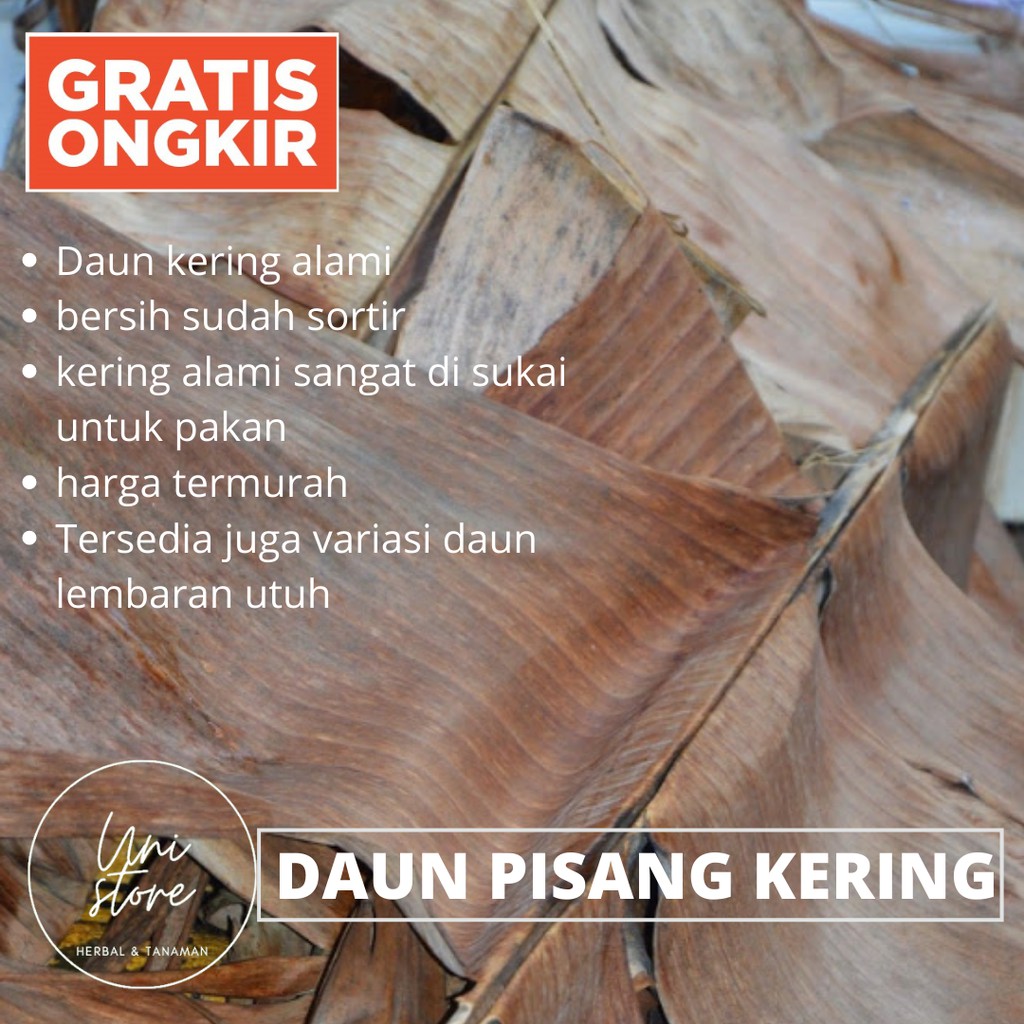 Jual Daun Pisang Kering Kg Infusoria Artemia Pakan Burayak