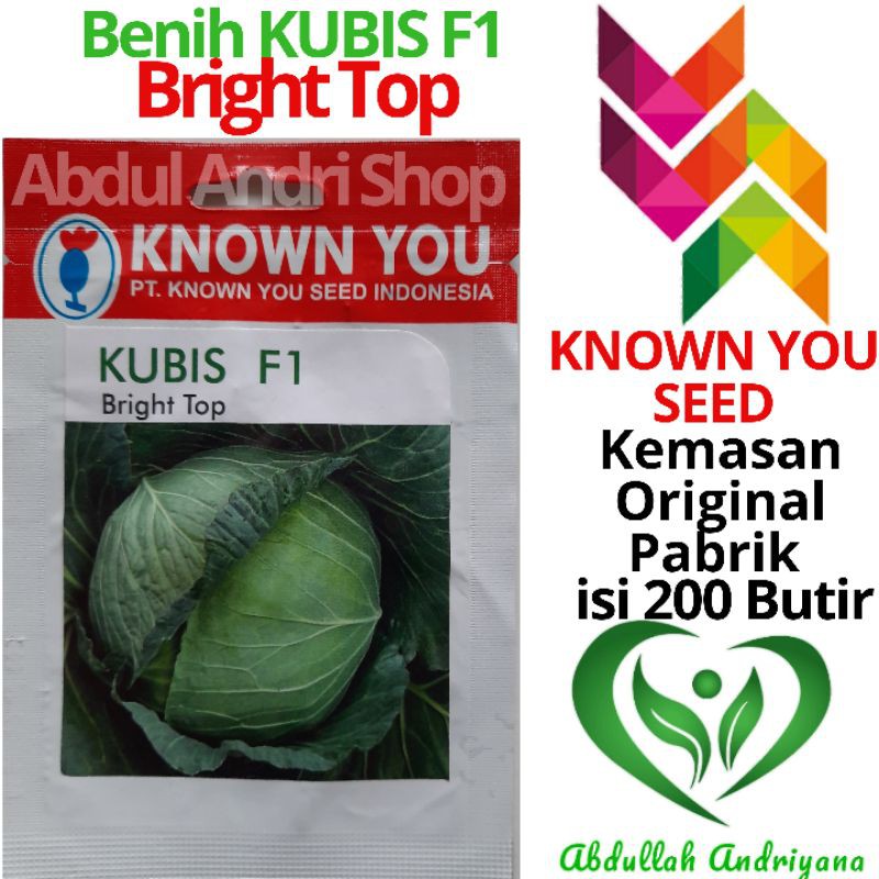 Jual Benih Bibit Kol Kubis F1 BRIGHT TOP Produk Known You Seed Isi