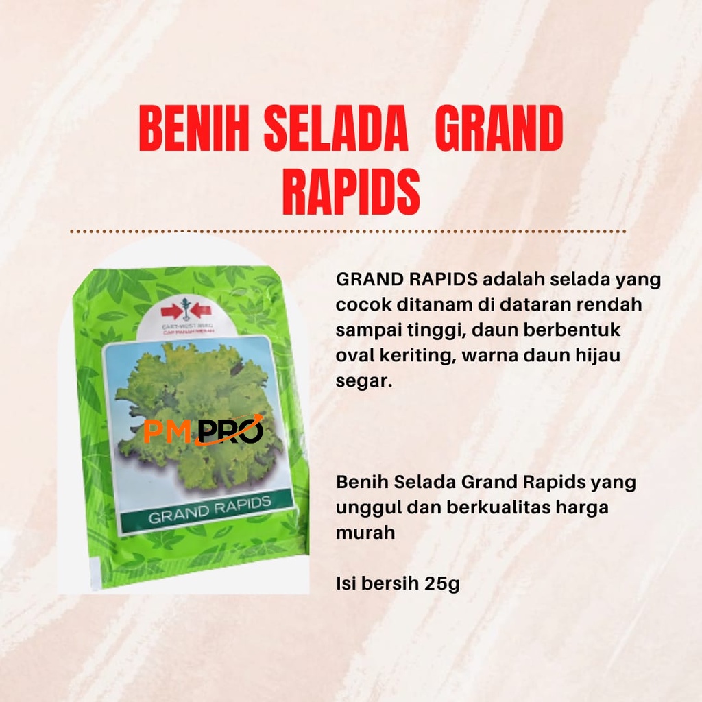 Jual Benih Biji Bibit Sayur Selada Hijau Slada Grand Rapids Cap Panah