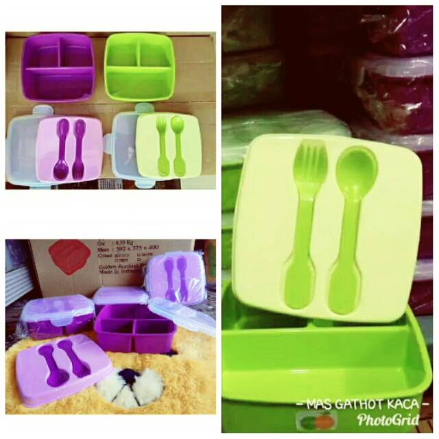 Jual Tempat Nasi Kotak Tnk Box Tnk Box Nasi Golden Sunkist Shopee