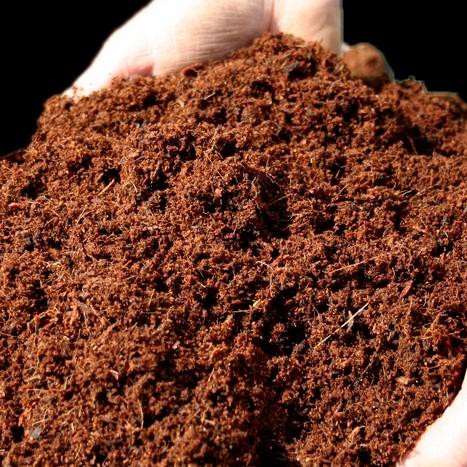 Jual Jual Cocopeat Coco Peat Cocopit Cocovit Media Tanam Hidroponik