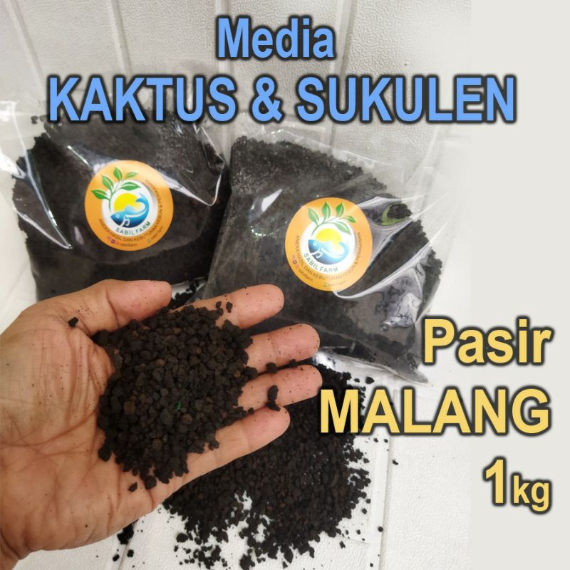 Jual Pasir Malang Kg Media Tanam Shopee Indonesia