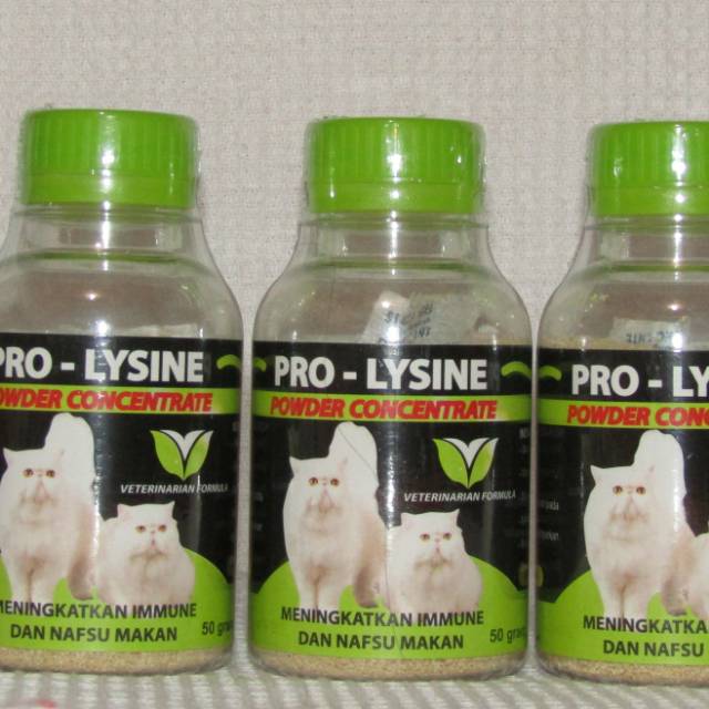 Jual Pro Lysine Cat Vitamin Kucing Peningkat Nafsu Makan Dan Imun